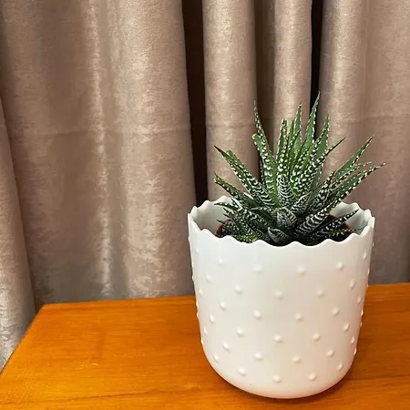 Anastasia's Luxury House 아파트