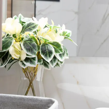 Anastasia's Luxury House Appartamento *