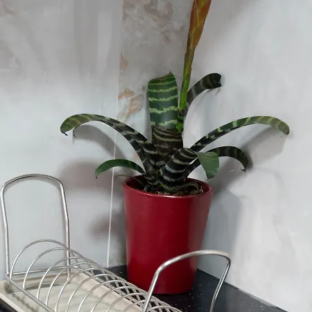 Anastasia's Luxury House Apartman *