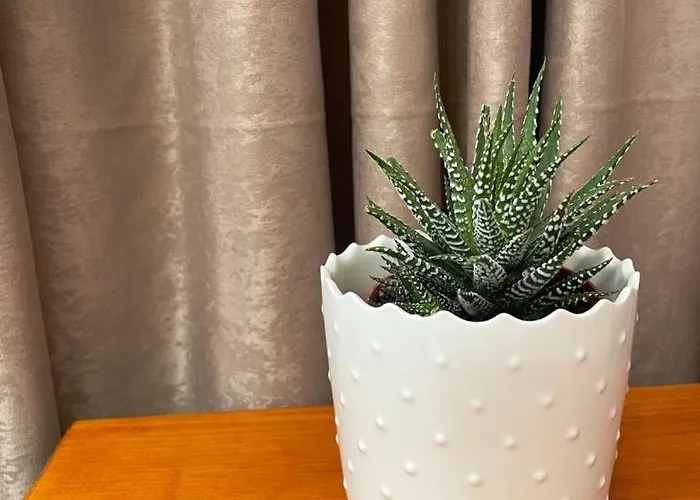 Anastasia's Luxury House Daire